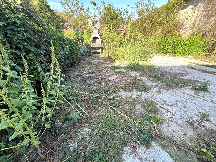 Immagine 28 di Casa indipendente in vendita  in Via Bernardino Palestro 23 a Stroppiana
