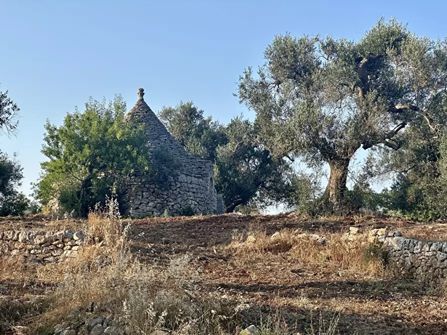 Immagine 6 di Terreno edificabile in vendita  a Ceglie Messapico