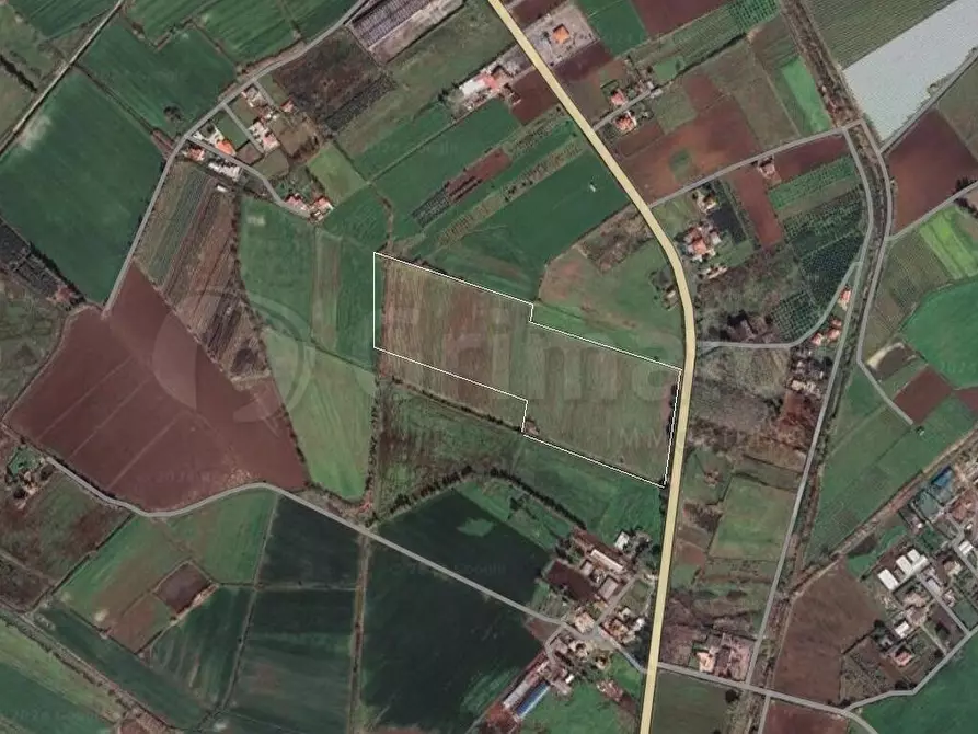 Immagine 1 di Terreno agricolo in vendita  a Cellole