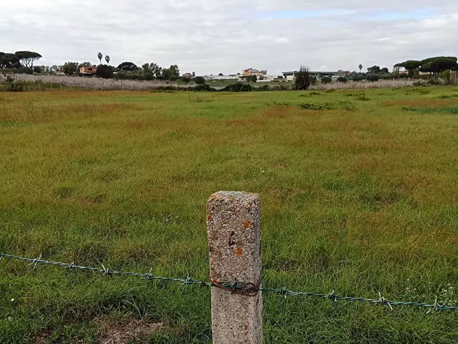 Immagine 8 di Terreno agricolo in vendita  in Via del Pino a Nettuno