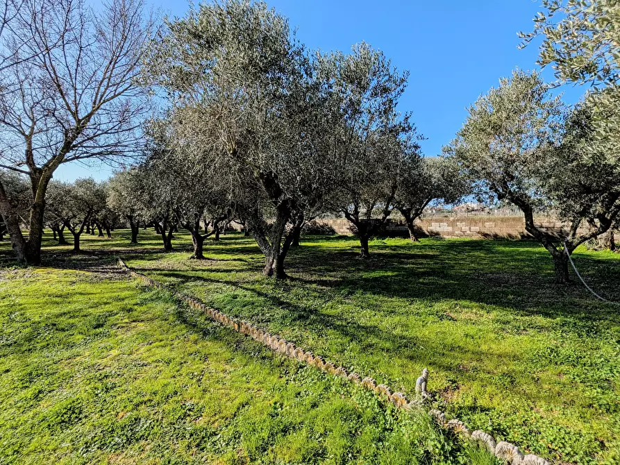 Immagine 19 di Villa in vendita  in Via Granieri 56 a Nettuno