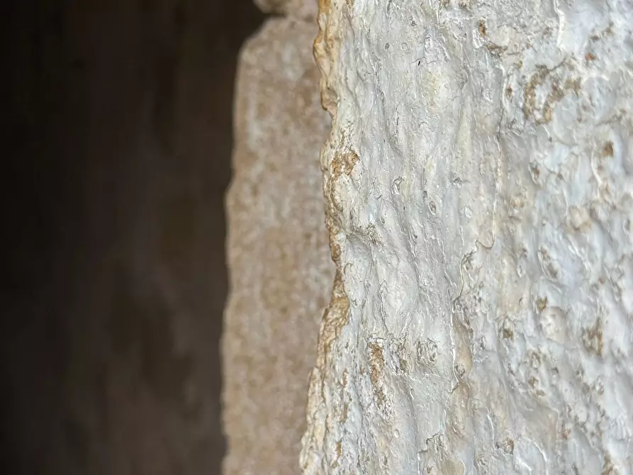 Immagine 19 di Casa indipendente in vendita  in SP296 54 a Trepuzzi