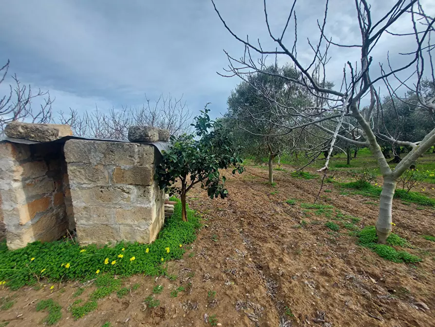 Immagine 7 di Rustico / casale in vendita  in Strada per Baccatani 26 a Brindisi