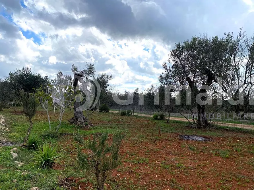 Immagine 5 di Terreno edificabile in vendita  in Santa Teresa a Sannicola
