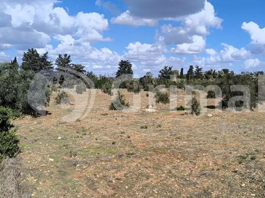 Immagine 4 di Terreno agricolo in vendita  in Strada Statale 274 a Gallipoli