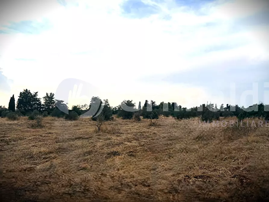 Immagine 10 di Terreno agricolo in vendita  in Strada Statale 274 a Gallipoli