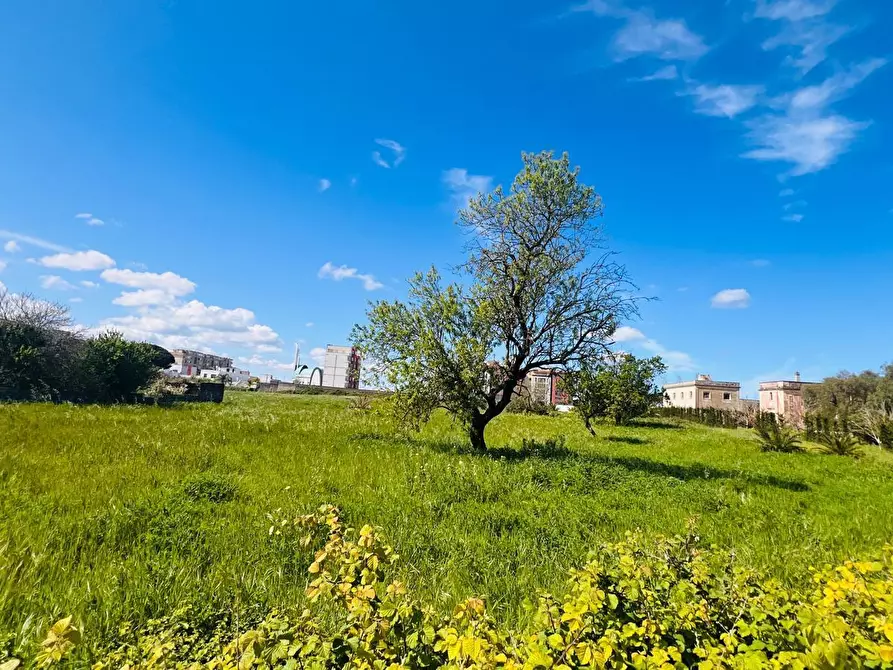 Immagine 12 di Terreno edificabile in vendita  in Via Monteroni 37 c a Lecce