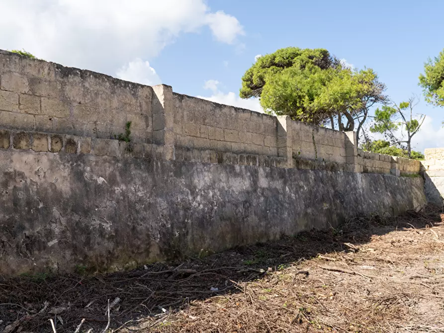 Immagine 76 di Villa in vendita  in SP366 9 a Melendugno