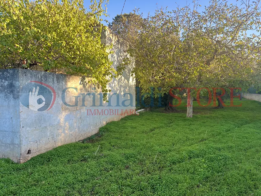 Immagine 11 di Rustico / casale in vendita  a San Vito Dei Normanni