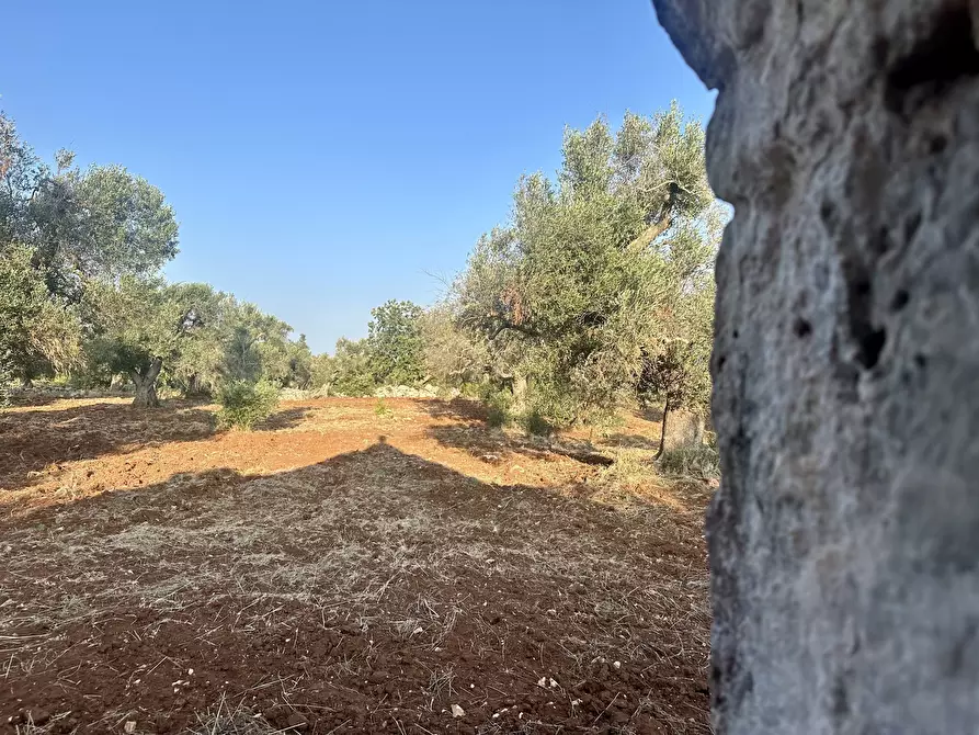 Immagine 22 di Terreno edificabile in vendita  a Ceglie Messapico