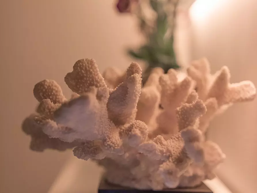 Immagine 103 di Casa indipendente in vendita  in Via Roberto Caracciolo 30 a Lecce