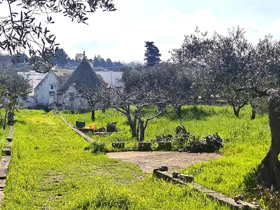 Immagine 3 di Casa indipendente in vendita  in Contrada Ciporrelli a Monopoli