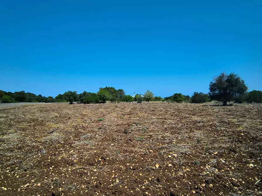 Immagine 6 di Rustico / casale in vendita  in Contrada Marinesca a Polignano A Mare