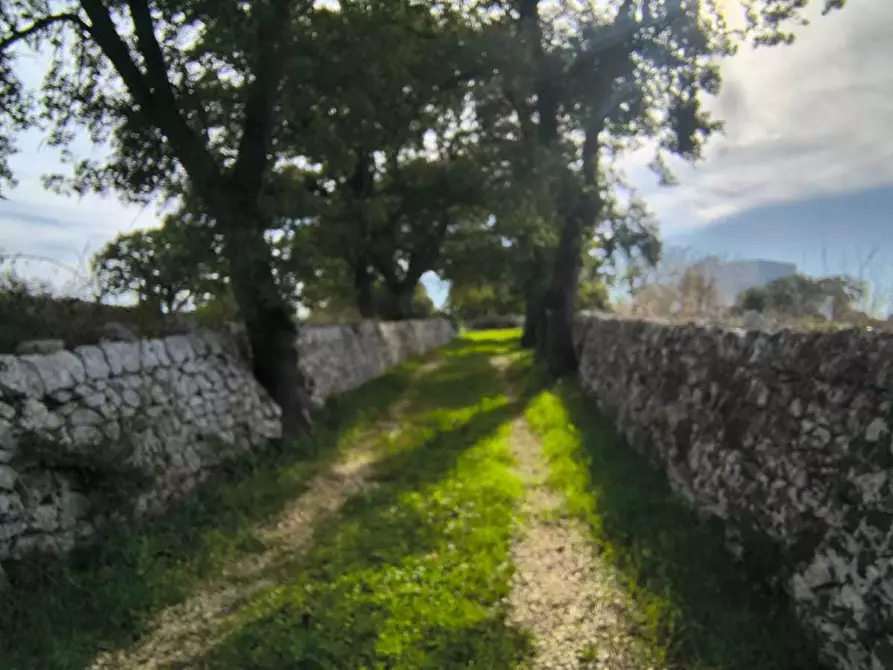 Immagine 19 di Casa indipendente in vendita  in Contrada zecca a Monopoli