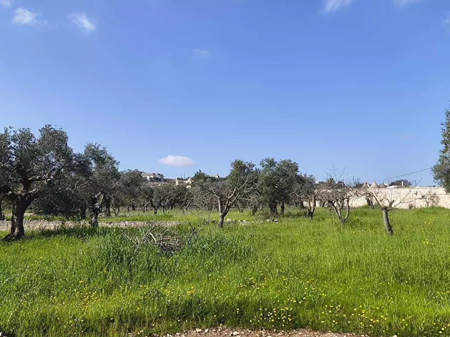 Immagine 17 di Casa indipendente in vendita  in Contrada Ciporrelli a Monopoli