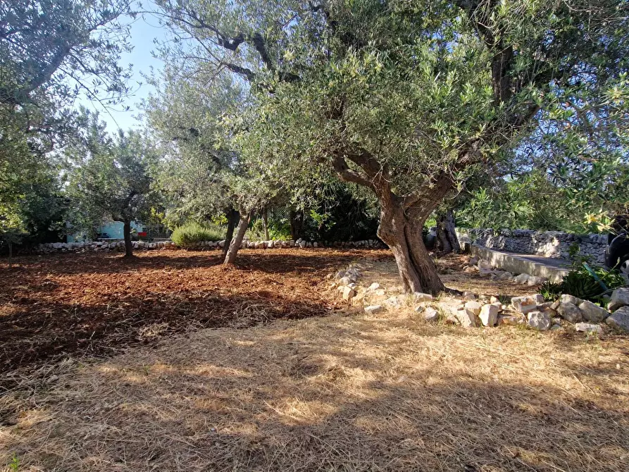 Immagine 6 di Casa indipendente in vendita  in Contrada Pagliericci a Monopoli