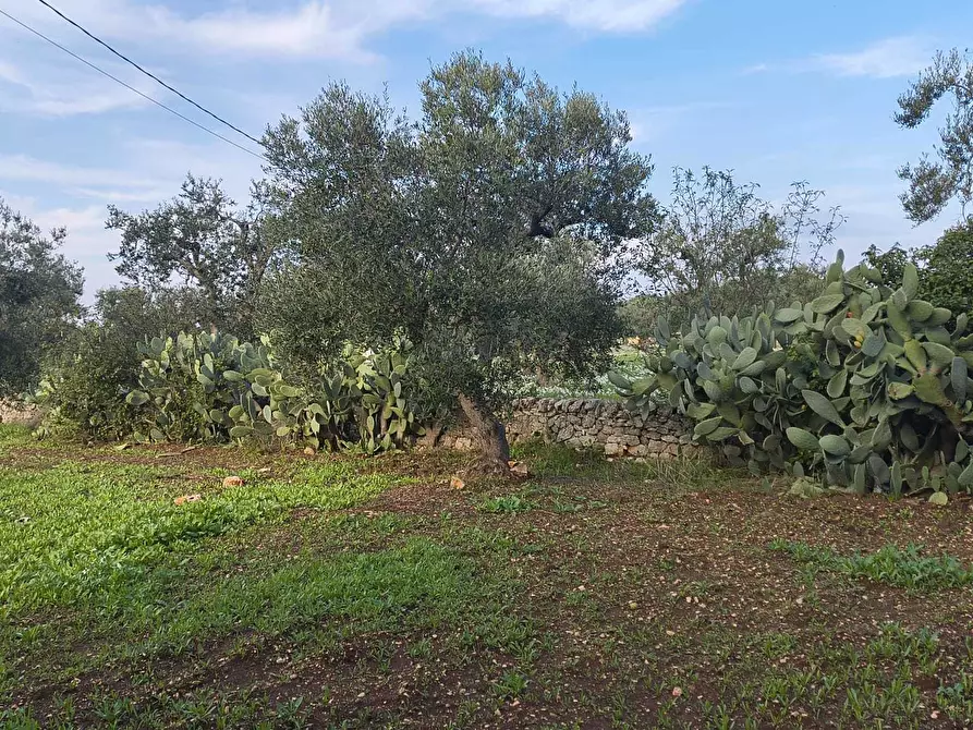 Immagine 12 di Casa indipendente in vendita  in Contrada Piangevino a Monopoli