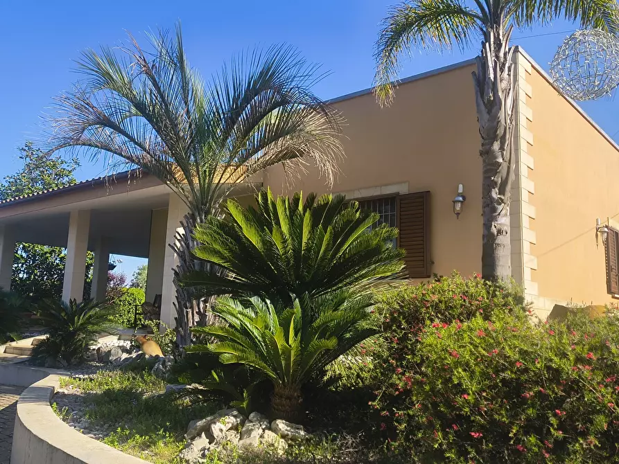Immagine 11 di Villa in vendita  in Torre Catena a Polignano A Mare