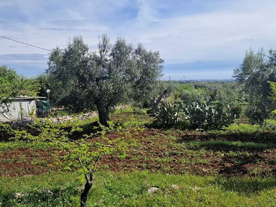 Immagine 12 di Rustico / casale in vendita  in C.da Peroscia a Monopoli