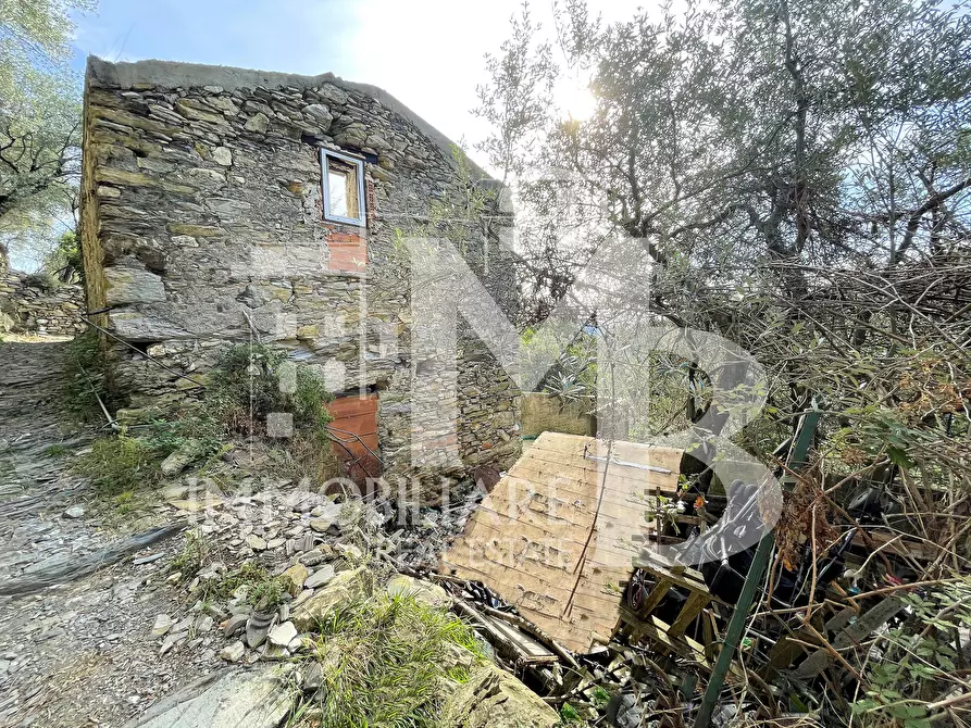 Immagine 3 di Rustico / casale in vendita  in Via Verzemma 31 a Recco