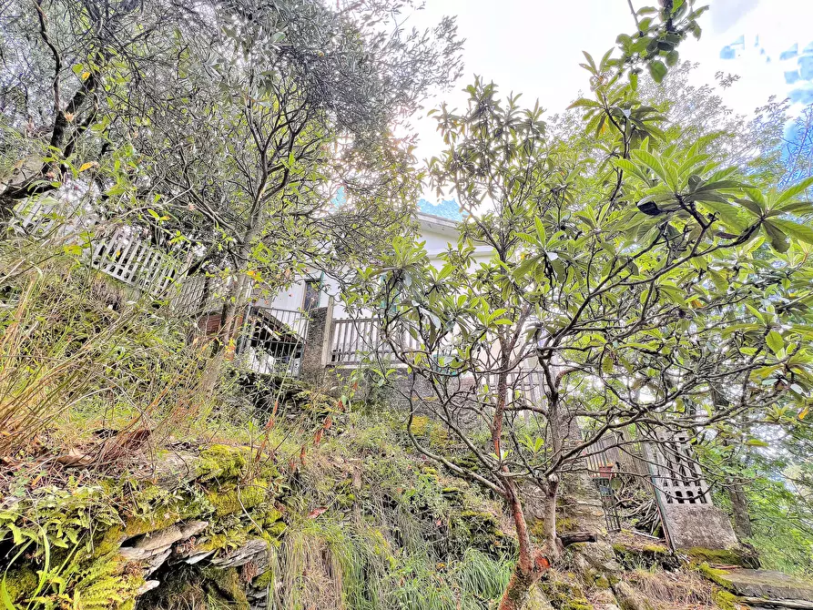 Immagine 30 di Casa indipendente in vendita  in Via Cappelletta 37 a Avegno