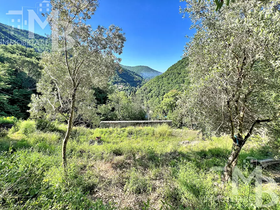 Immagine 13 di Casa indipendente in vendita  in Via Posato 19 a Avegno