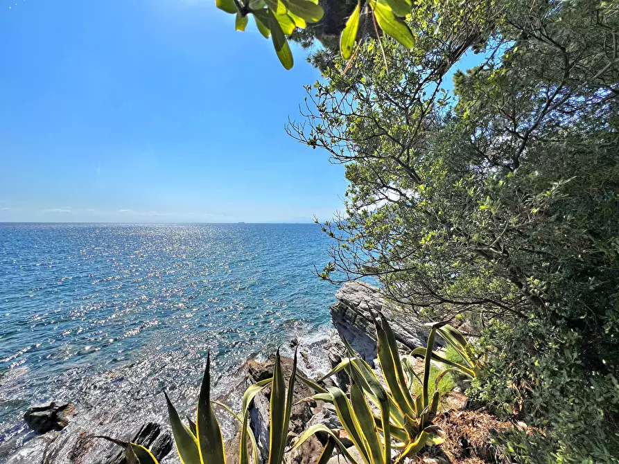 Immagine 2 di Casa indipendente in vendita  a Recco