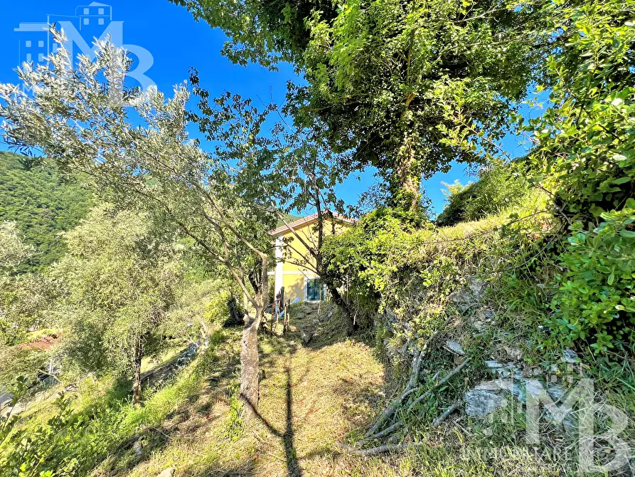 Immagine 29 di Casa semindipendente in vendita  in Via Posato 21 a Avegno