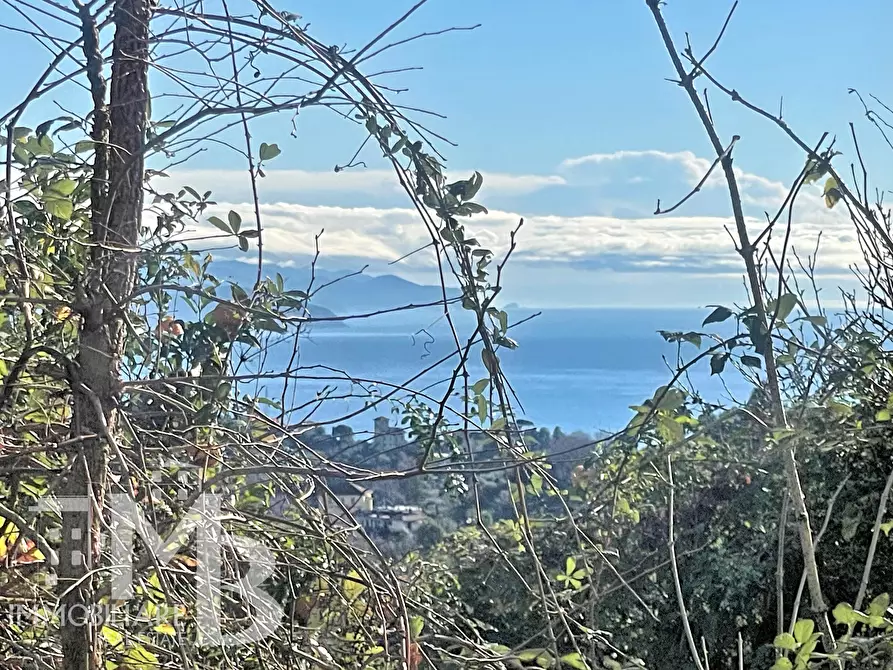 Immagine 4 di Bilocale in vendita  in Via Chiesa Vecchia di Bana 18/A a Camogli