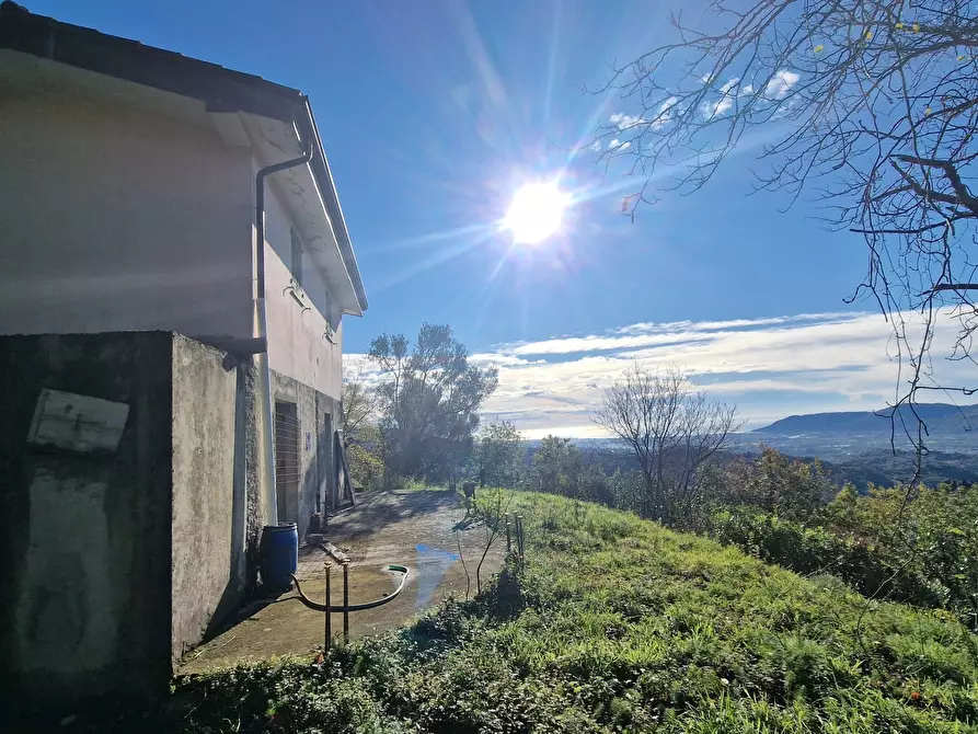 Immagine 4 di Rustico / casale in vendita  a Sarzana