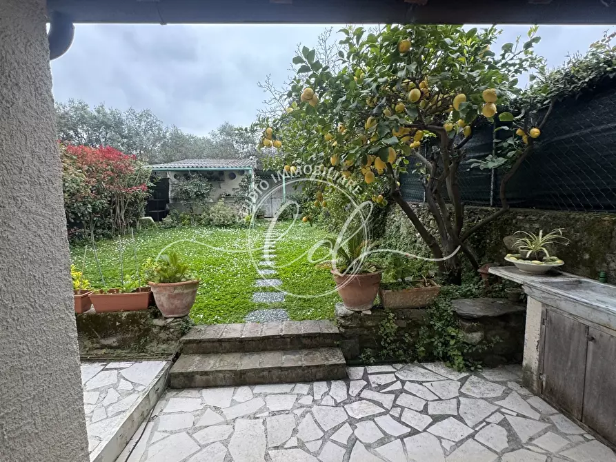 Immagine 79 di Terratetto in vendita  a Seravezza