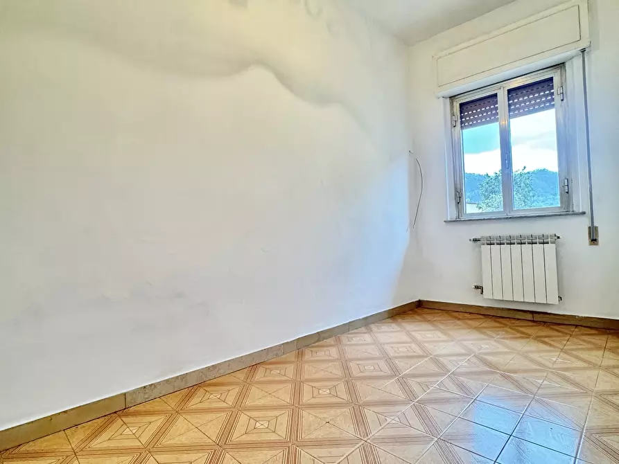 Immagine 9 di Terratetto in vendita  a Camaiore