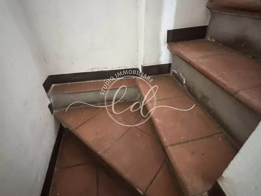 Immagine 15 di Terratetto in vendita  a Camaiore