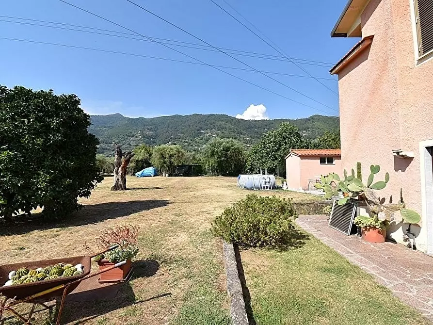 Immagine 4 di Porzione di casa in vendita  a Pietrasanta
