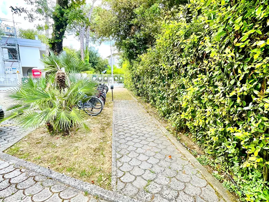 Immagine 2 di Trilocale in affitto  a Pietrasanta