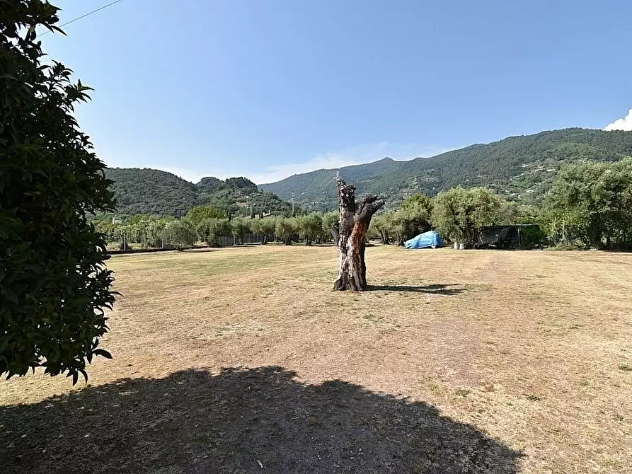 Immagine 6 di Porzione di casa in vendita  a Pietrasanta