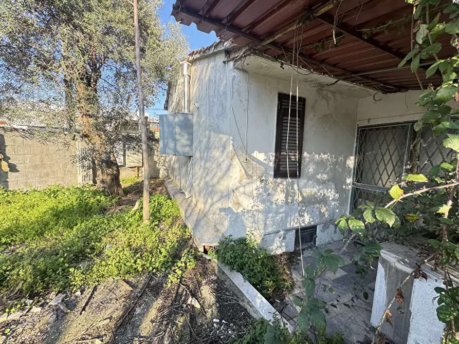 Immagine 2 di Casa indipendente in vendita  a Seravezza