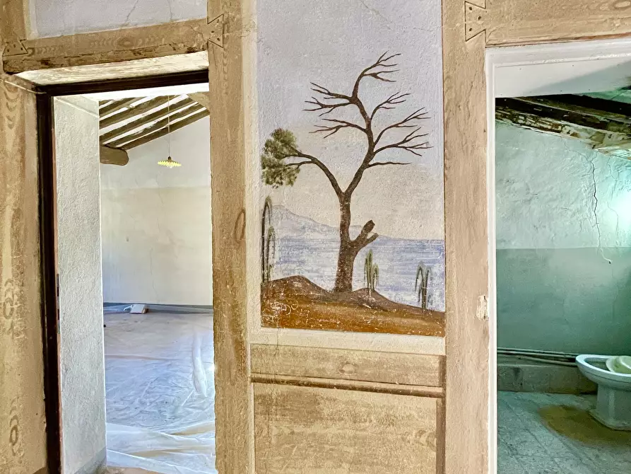 Immagine 23 di Porzione di casa in vendita  a Camaiore