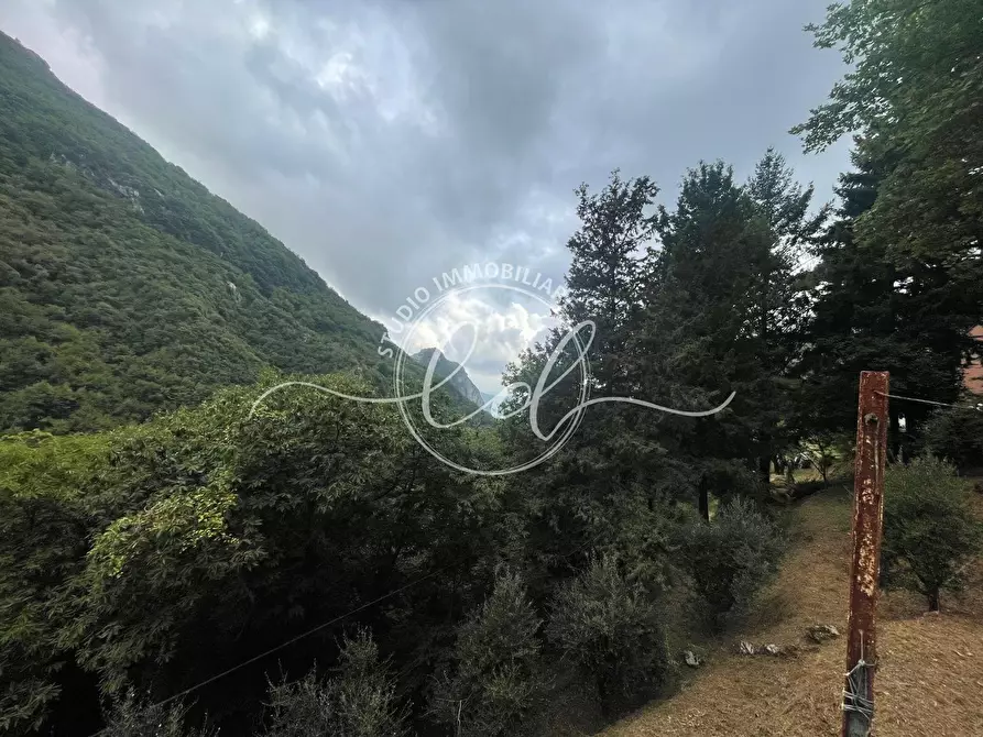 Immagine 16 di Porzione di casa in vendita  a Camaiore