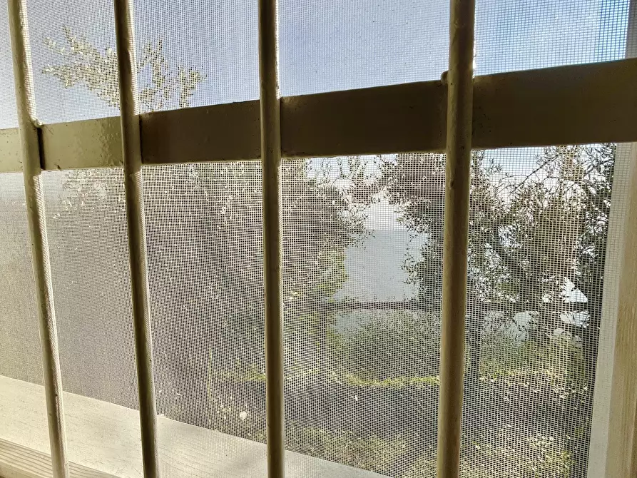 Immagine 39 di Baita in vendita  a Pietrasanta