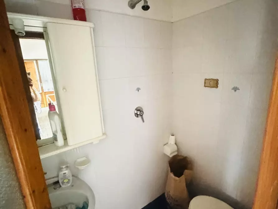 Immagine 38 di Porzione di casa in vendita  a Seravezza