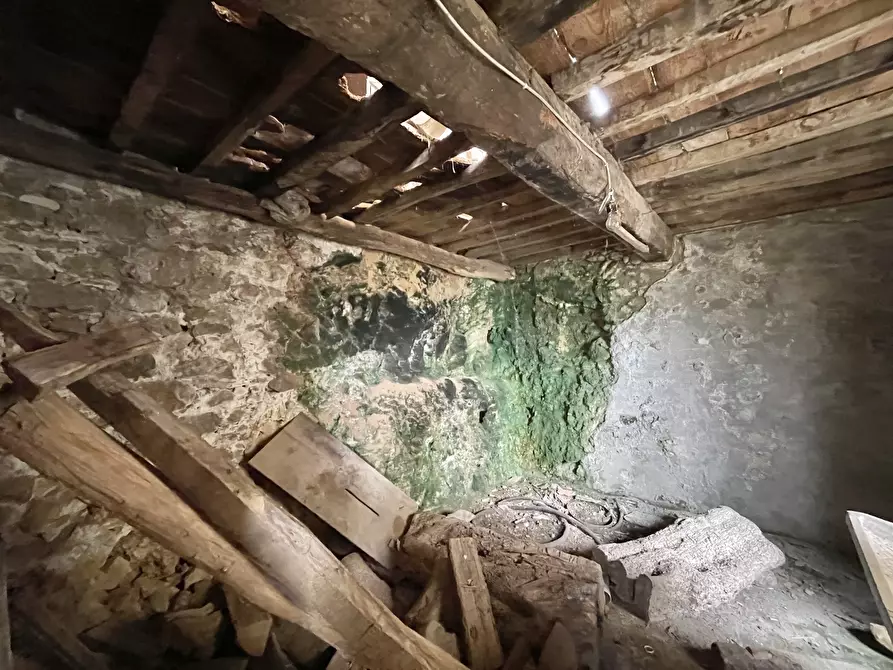 Immagine 33 di Casa indipendente in vendita  a Pietrasanta