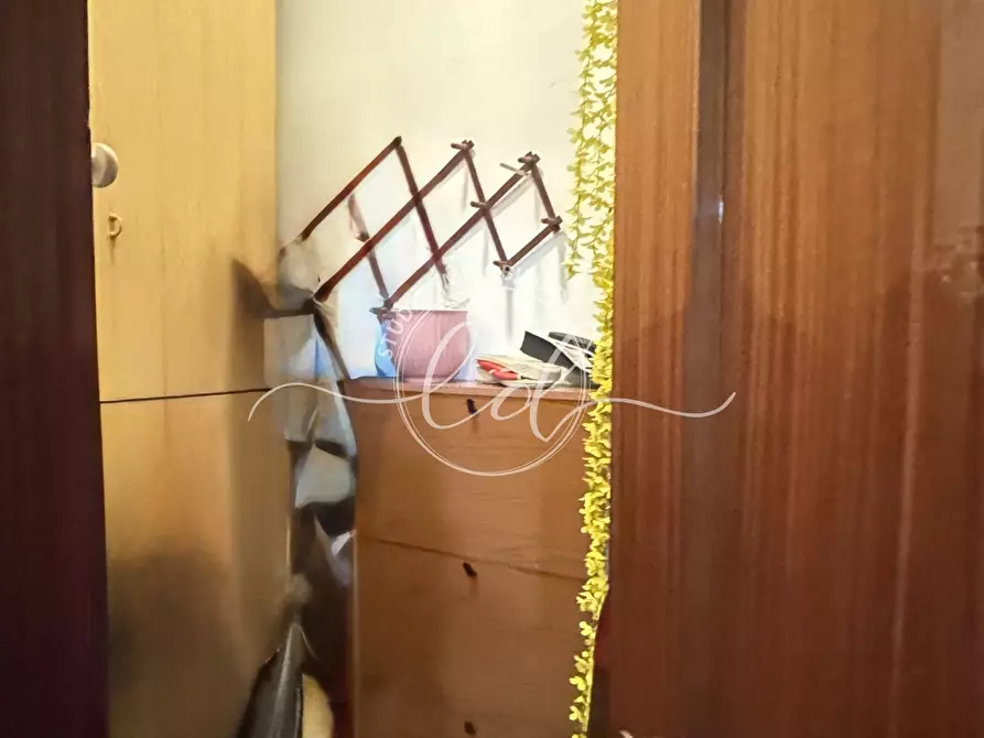 Immagine 4 di Quadrilocale in affitto  a Seravezza