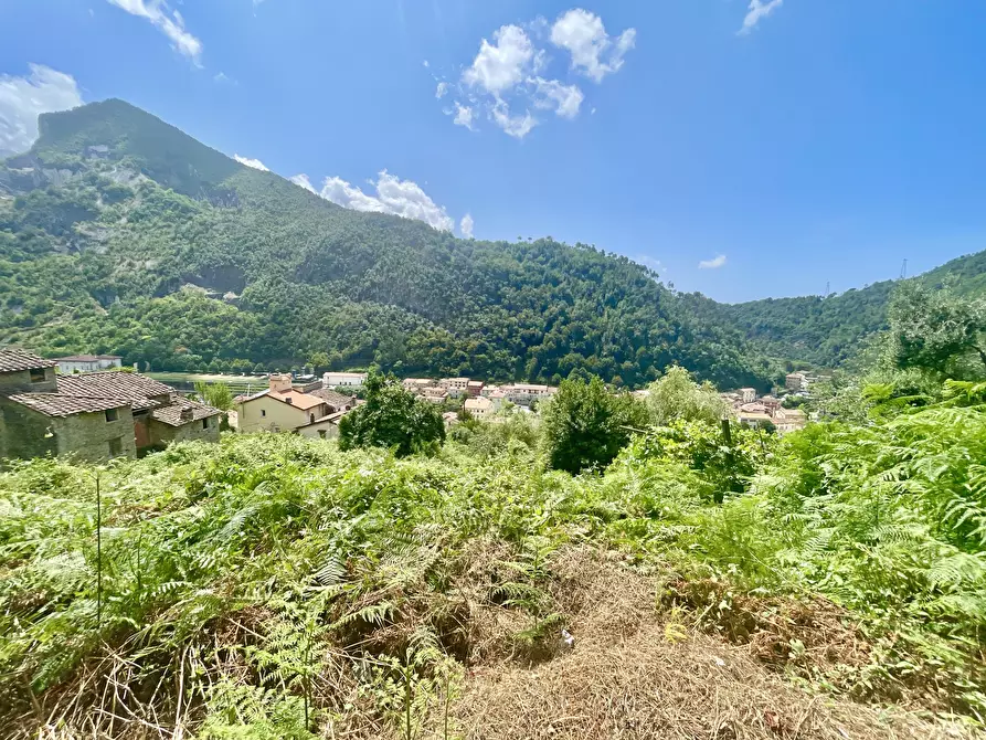 Immagine 4 di Rustico / casale in vendita  a Seravezza