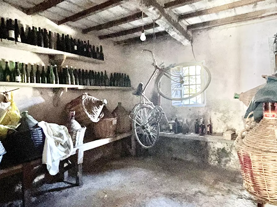 Immagine 3 di Terratetto in vendita  a Montignoso