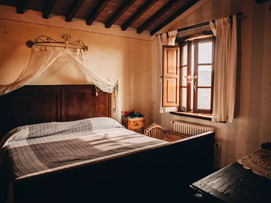 Immagine 27 di Rustico / casale in affitto  a Camaiore