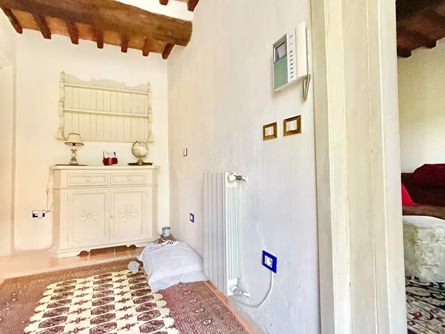 Immagine 15 di Rustico / casale in vendita  a Camaiore