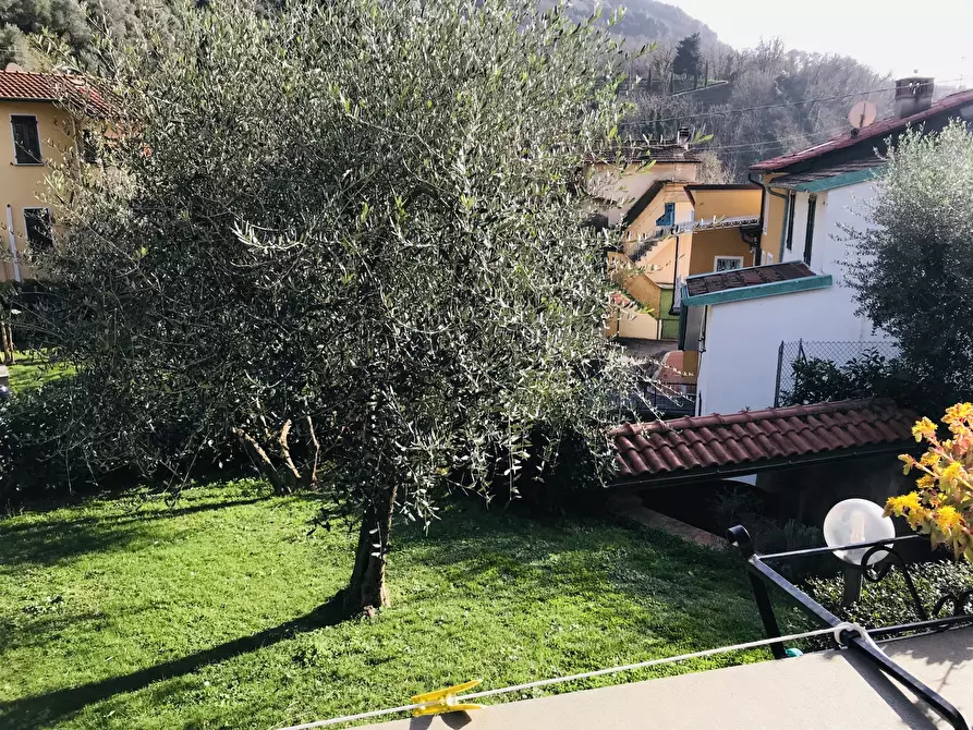 Immagine 3 di Casa indipendente in vendita  a Pietrasanta