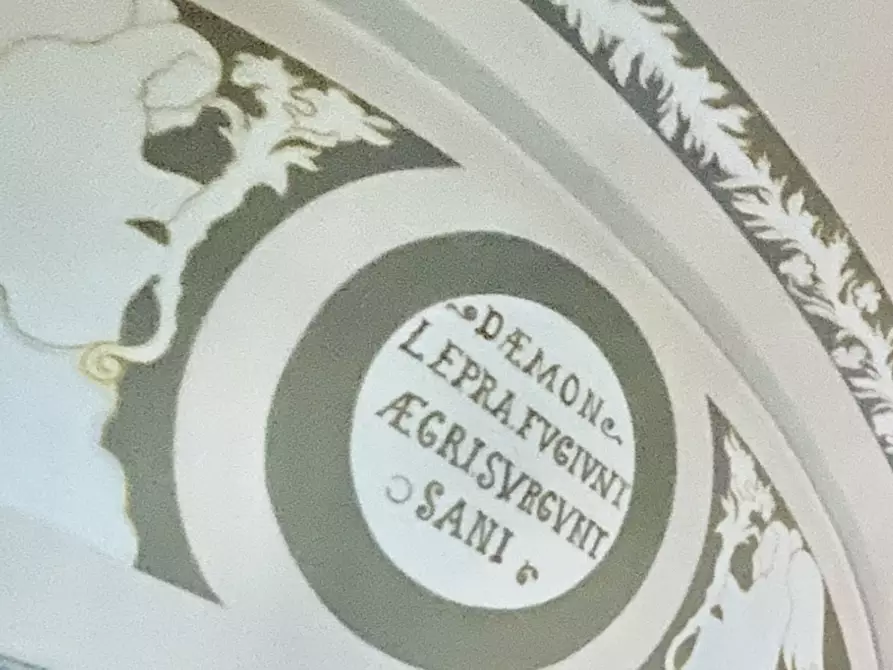 Immagine 9 di Locale commerciale in affitto  a Camaiore