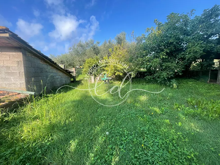 Immagine 25 di Casa indipendente in vendita  a Massarosa